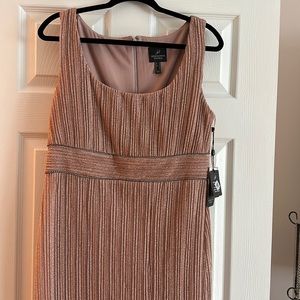 New with tags Adrianna Papell evening dress size 12